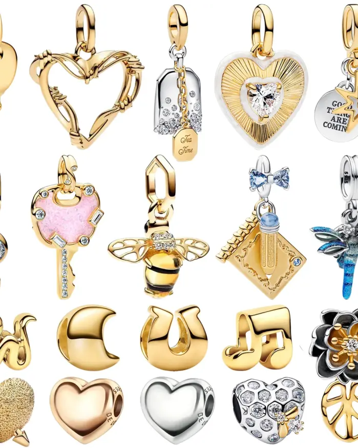 Abalorios de Plata de Ley 925 con Forma de Corazón y Candado para Parejas, Colgante de Esmalte con Insectos, Herradura y Flores, para Pulsera, Regalo Personalizado 1