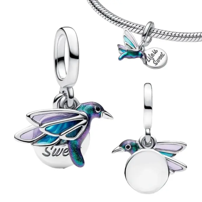 Abalorios de Plata de Ley 925 con Forma de Corazón y Candado para Parejas, Colgante de Esmalte con Insectos, Herradura y Flores, para Pulsera, Regalo Personalizado 2