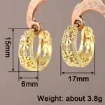 pendientes de aro para mujer, diseño calado, joyería elegante para fiesta de boda, Color plateado/dorado, accesorios CZ con incrustaciones 6