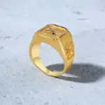 Anillo de sello de águila calva para hombres, anillos de pájaro chapados en oro con sello de pájaro, joyería de banda de halcón de acero inoxidable 4