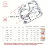 Anillo de Plata de Ley 925 con Forma de Corazón, Estilo Francés Chic, Diseño Único, Joyería de Moda para Mujer, Perfecto para Accesorios Diarios 5