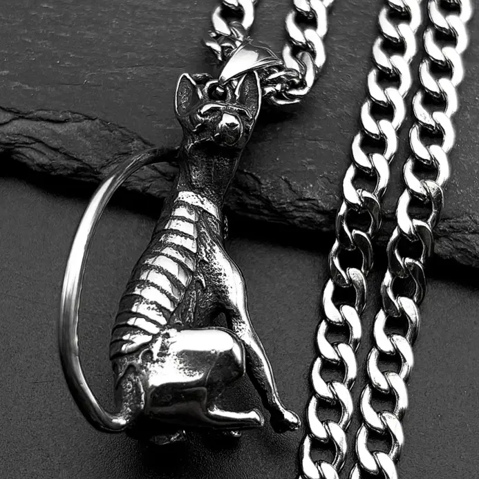 HNSP 316L Acero inoxidable esfinge gato colgante collar de cadena para hombres accesorios de joyería gótica 1