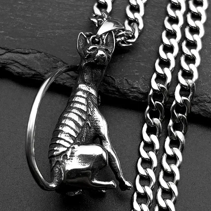 HNSP 316L Acero inoxidable esfinge gato colgante collar de cadena para hombres accesorios de joyería gótica 1