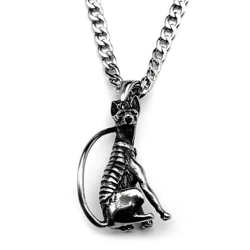 HNSP 316L Acero inoxidable esfinge gato colgante collar de cadena para hombres accesorios de joyería gótica 5